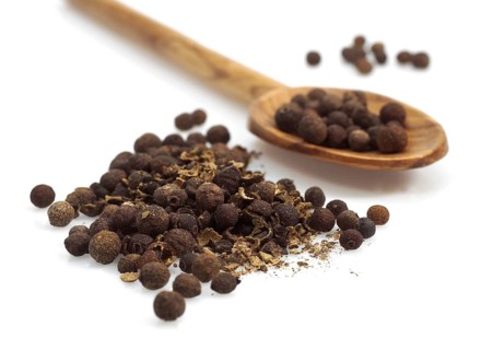 Allspice, clove pepper, Jamaica pepper (Pimenta officinalis), myrtle family, JAMAICA PEPPER against