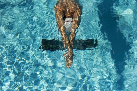 High angle male swimmer water pool