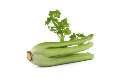 Fresh celery stalks with leaves isolated on white background