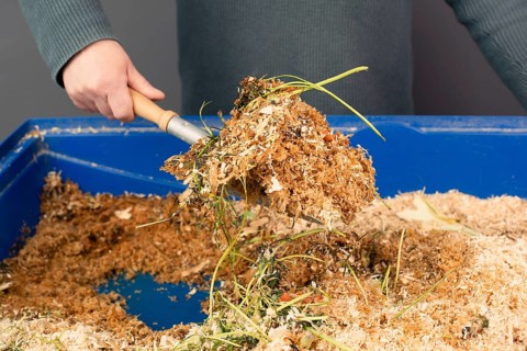 Cleaning the rabbit cage, scatter and straw with rabbit shit and leftover vegetables, taking care