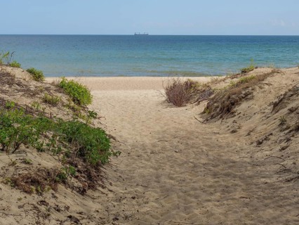 Path through the dunes to the sea, plants on the sides, calm water in the background, sopot, baltic
