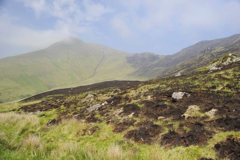Slieve Mish Mountains, Burning Meadows, Ballyarkane Oughter, County Kerry, Ireland, Europe