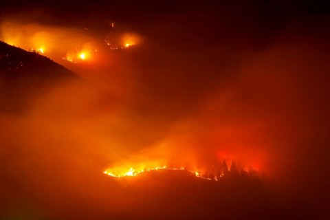 Forest fire on Mt Hochmahdkopf, Tyrol, Austria, Europe