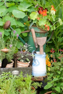 Garden with herbs