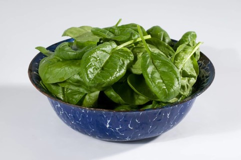 Spinach, vegetable spinach (Spinacia oleracea), garden spinach, bowl