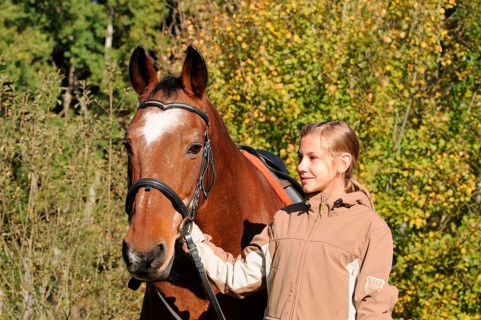 Girl and old horse, Trakehner, gelding, 32 years old, German warmblood, riding horse, bridle