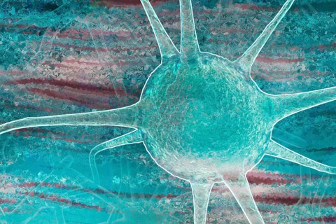 Nerve cells control thinking and movements