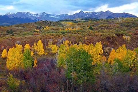 View from Dallas Divide to Sneffles Range, Ridgway, Colorado, USA, North America