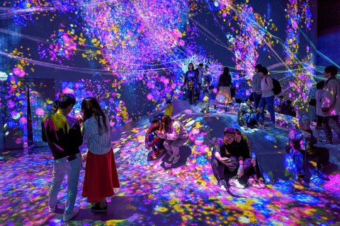 Digital Art Museum, Epson Team Lab Borderless, Odaiba Island, Tokyo, Japan, Asia