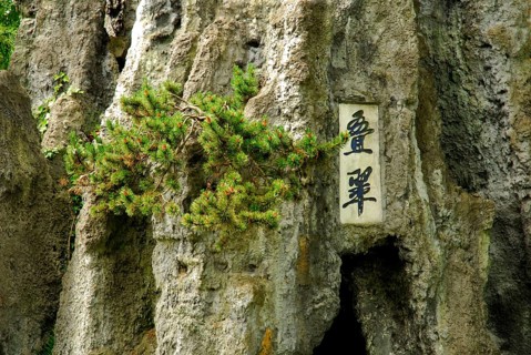 Chinese characters and pine on rocks, China garden, Zurich, Switzerland, Europe