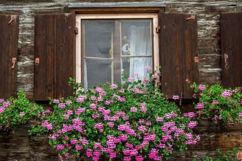 Window with geraniums on an old wooden house m in Zollstraße, Oberstdorf, Oberallgäu, Allgäu,