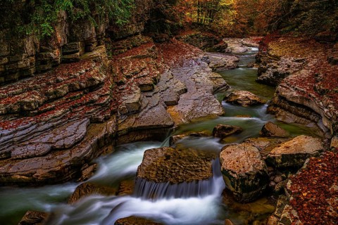 Autumn atmosphere on the course of the Taugl or Tauglbach stream, Tauglgries nature reserve,