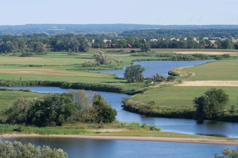 The Elbe and tributaries in the Elbe floodplain of Lower Saxony. Elbe floodplain and Elbe dike