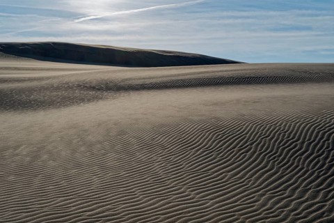 Dune landscape around the Lontz Dune, Wydma Lacka, the largest travelling dune on the Polish Baltic