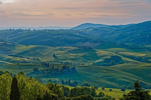 Landscape in the rays of the evening sun near Montepulciano in Tuscany: Montepulciano, Tuscany,