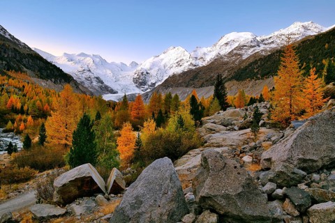 Autumn-coloured valley at dawn, Morteratsch, Engadin, Canton Graubünden, Switzerland, Europe