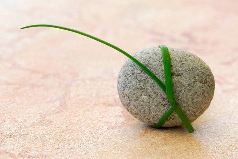 Stalk wrapped around stone, blade of grass
