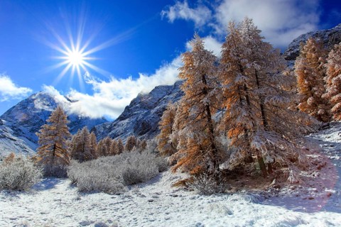 Mt Collon, 3637 m, Arolla Valley, Valais, Switzerland, Europe