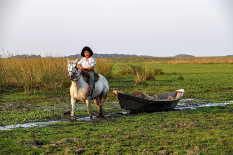 Young gaucho pulling a boat with reeds, traditional means of transport, Puesto Mingo, Esteros del