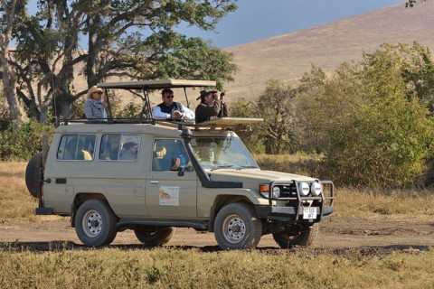 Safari vehicle travelling in the Ngorongoro Crater, Ngorongoro Conservation Area, Tanzania, Africa
