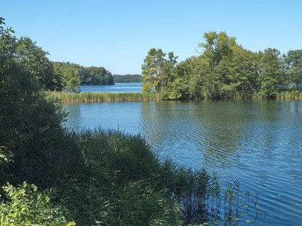 The Schaalsee at the Kampenwerder peninsula in the Schaalsee UNESCO Biosphere Reserve, Stintenburg,