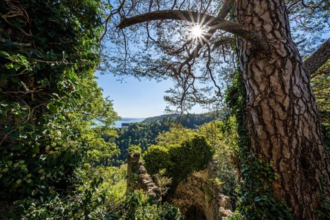 View from the Altbodman castle ruins over the Bodanrück to Lake Constance, Bodman-Ludwigshafen,