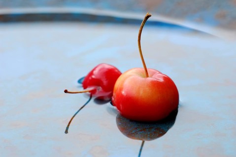 Ornamental apples in water