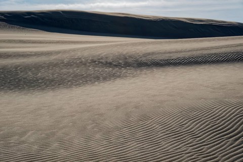 Dune landscape around the Lontz Dune, Wydma Lacka, the largest travelling dune on the Polish Baltic
