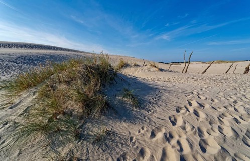 Dune landscape around the Lontz Dune, Wydma Lacka, the largest travelling dune on the Polish Baltic