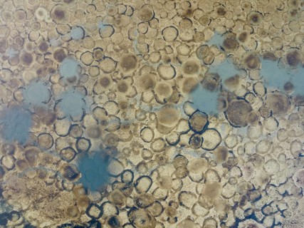 Conspicuous patterns at the bottom of the shallow lagoon Salinas de Cerrillos, aerial view, drone