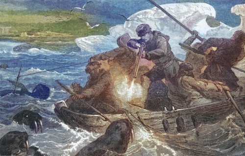 Hunting walruses (Odobenus rosmarus), walrus, walrus hunting in the Arctic Ocean from a boat, 1869,