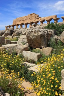 Selinunte, remains of the temples of the acropolis in the archaeological site of Selinunte, Trapani