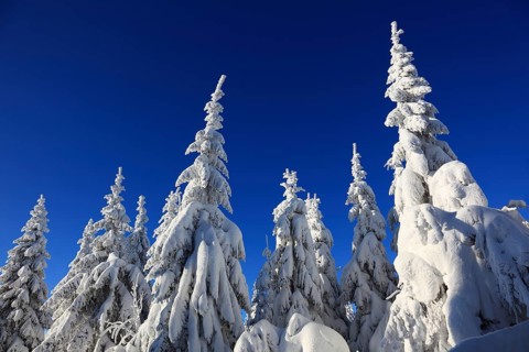 Winter landscape in the Fichtelgebirge, Bayreuth district, Upper Franconia, Bavaria, Germany,