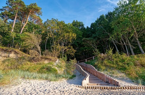 Palisaded path to the sandy beach and the tree-covered coast in the Wolin National Park, also known