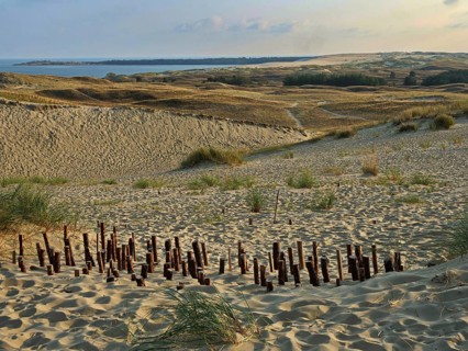 The Parnidis Dune in the Curonian Spit National Park is one of the largest shifting sand dunes in