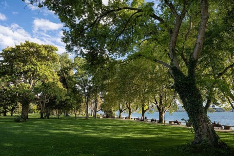 The Mettnau Park with the Istres Promenade on the shore of Lake Constance, Mettnau Peninsula,
