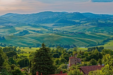 Landscape in the rays of the evening sun near Montepulciano in Tuscany: Montepulciano, Tuscany,