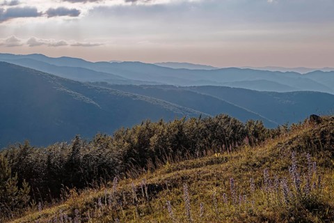 Mountain landscape of the Balkan Mountains and the forested slopes of the Balgarka nature park Park