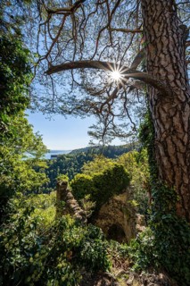 View from the Altbodman castle ruins over the Bodanrück to Lake Constance, Bodman-Ludwigshafen,