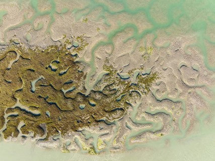 Network of channels and streams at low tide, in the marshland of the Bahía de Cádiz, aerial view,
