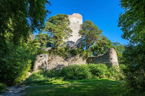 The Altbodman castle ruins on the Bodanrück, Bodman-Ludwigshafen, Constance district,