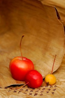 Decorative apples and characters (Malus)