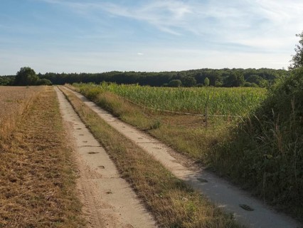 The column trail along the former inner-German border marks the green band between