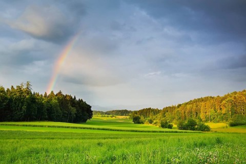 Evening thunderstorm atmosphere with rainbow over lush green mixed forest, in the Zurich Oberland,