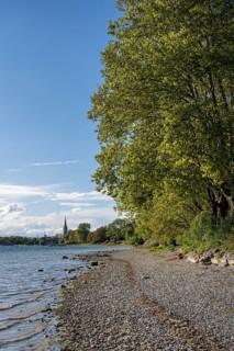 Gravel beach on the shore of Lake Constance near Radolfzell, Constance district, Baden-Württemberg,