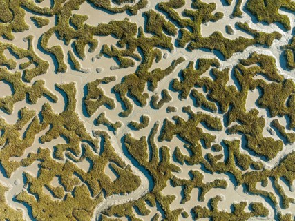 Network of dry channels and streams at low tide, in the marshland of the Bahía de Cádiz, aerial