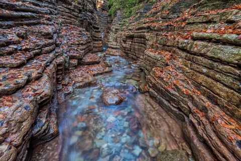 Taugl, Tauglbach flows through gorge, Tauglbachklamm, autumn, Tennengau, Bad Vigaun, Salzburger
