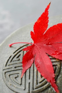 Japanese Maple leaf and Japanese emblem in stone, esotericism, symbol Japanese maple, leaf, and