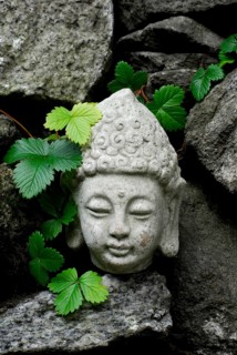 Buddha head