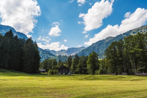 Mown meadow in Klöntal, Canton Glarus, Switzerland, Europe